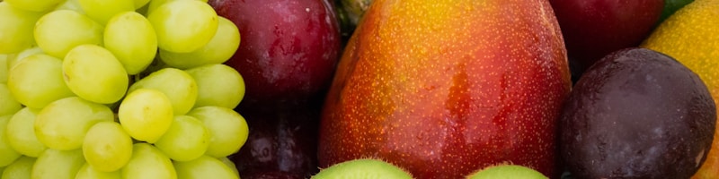 A random picture of fruit 🍎🍊